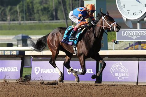 kentucky derby future wagers|Fierceness installed at 15.